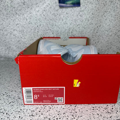 Nike Dunk Low Blue Tint