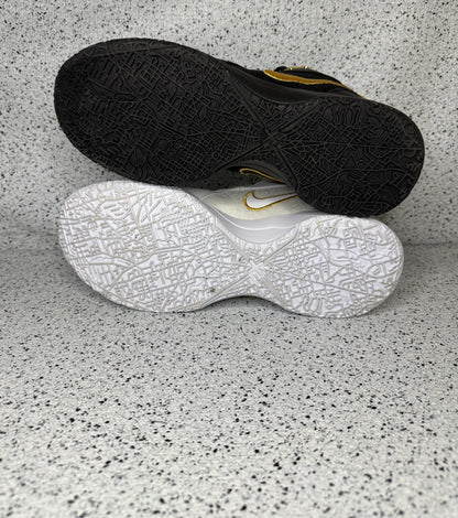 Nike Zoom Lebron NXXT Gen Equity 9.5 Men/11 Women “Preowned”