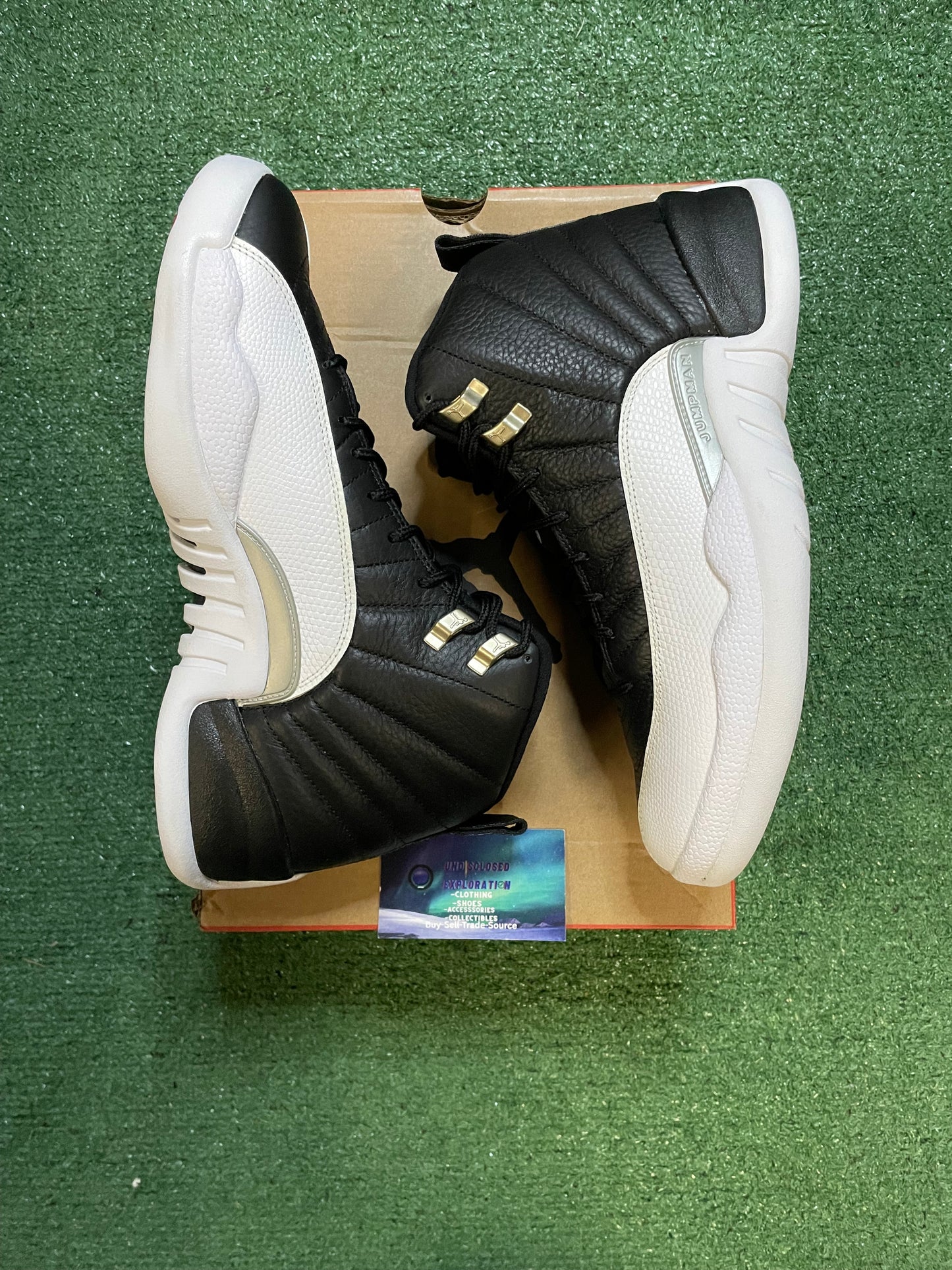 Air Jordan 12 Retro playoffs