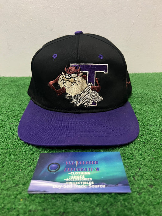 Vintage 1990s TAZ looney tunes hat