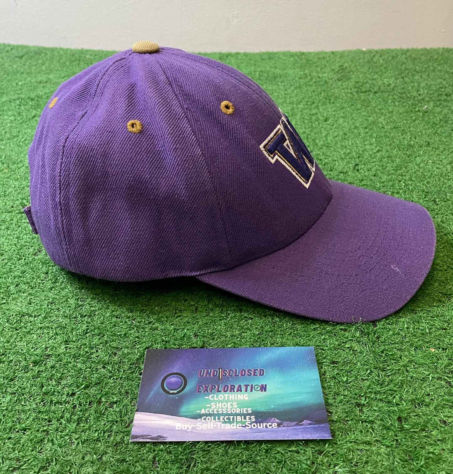 Vintage 1990s UW University of Washington huskies embroidered pac-10 hat