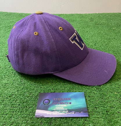 Vintage 1990s UW University of Washington huskies embroidered pac-10 hat