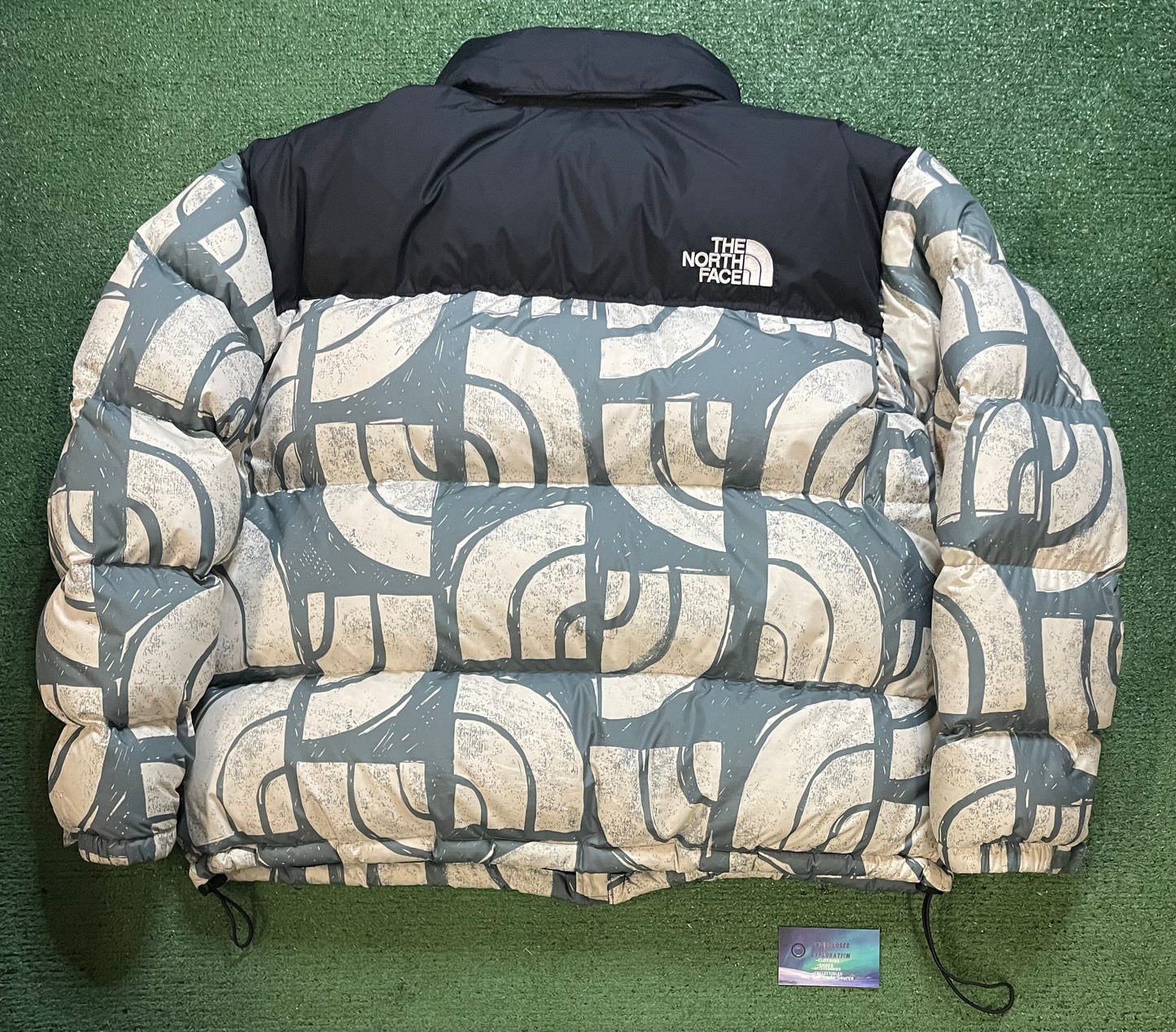 The North Face Nuptse 700 blue and white jacket