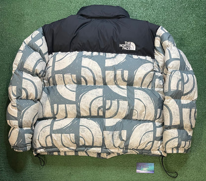 The North Face Nuptse 700 blue and white jacket