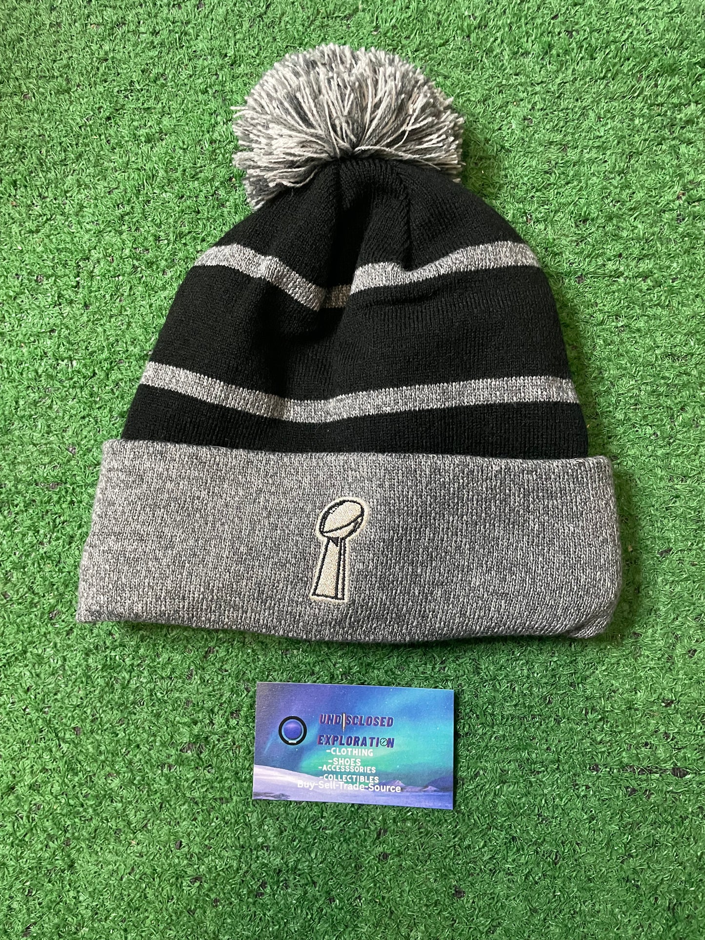 Seattle Seahawks Super Bowl LX Champions Parade Pom Knit beanie