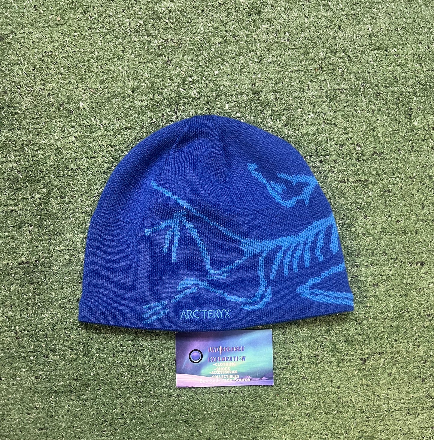 Arc'teryx Bird Head Toque blue  beanie