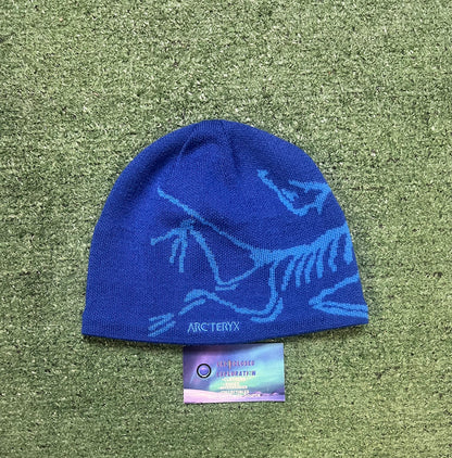 Arc'teryx Bird Head Toque blue  beanie