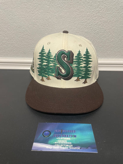 Seattle Mariners forest fitted new era hat