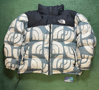 The North Face Nuptse 700 blue and white jacket