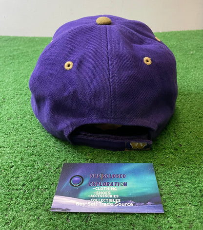 Vintage 2000s UW university of Washington embroidered hat