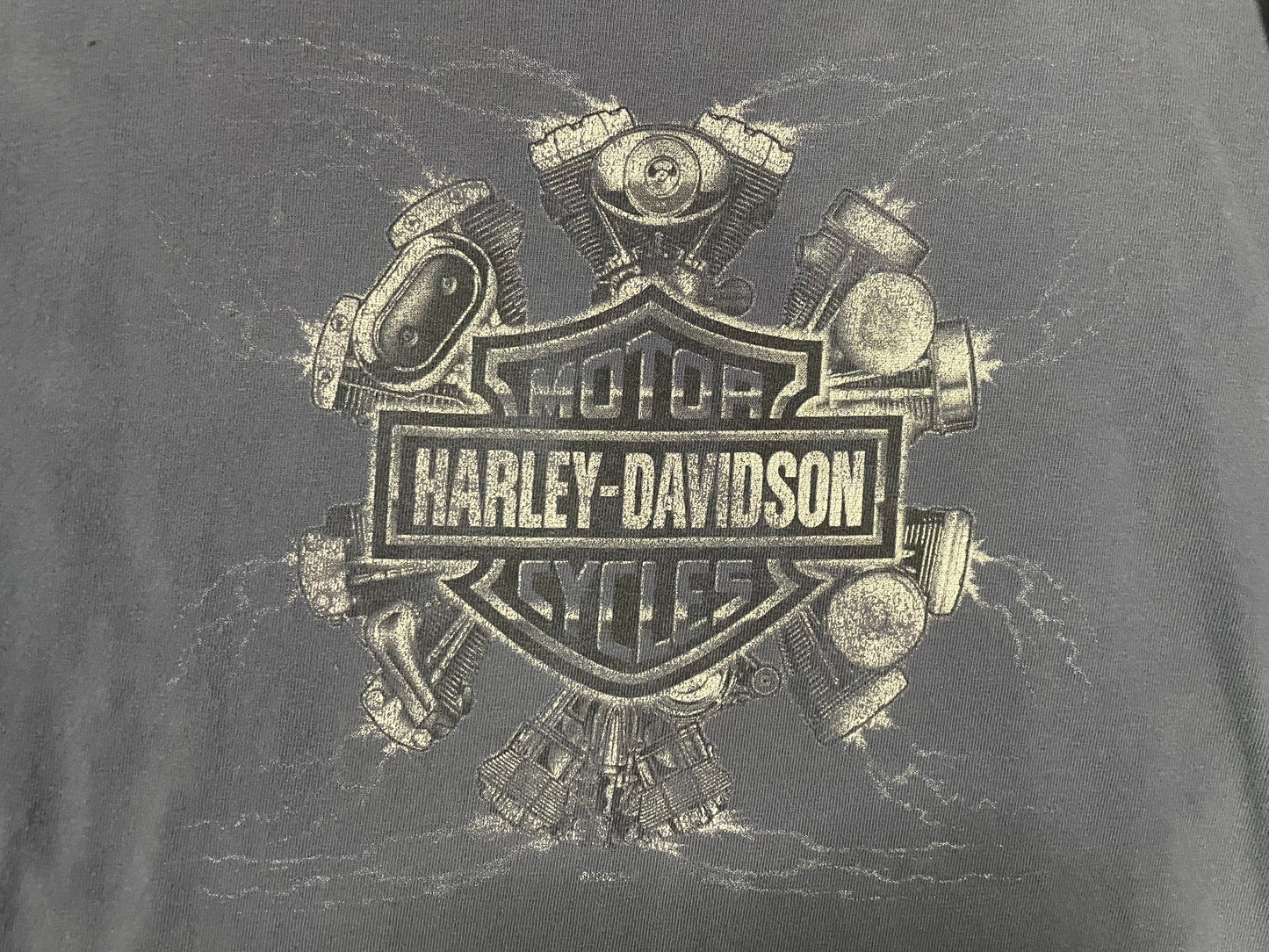 Vintage Harley Davidson flame longsleeve