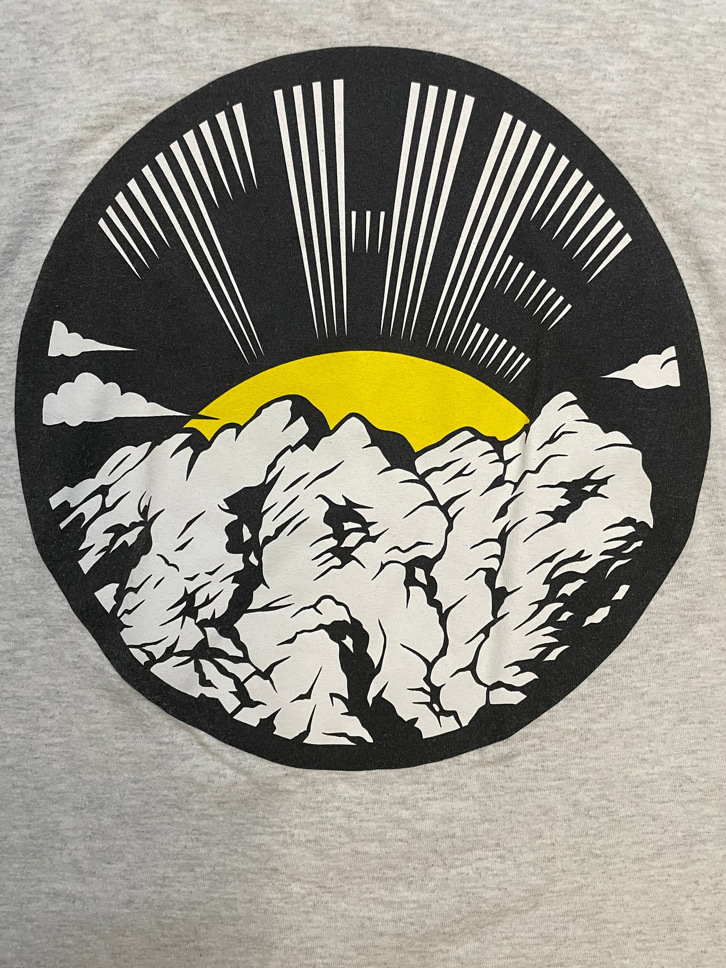 The Trip Grey longsleeve