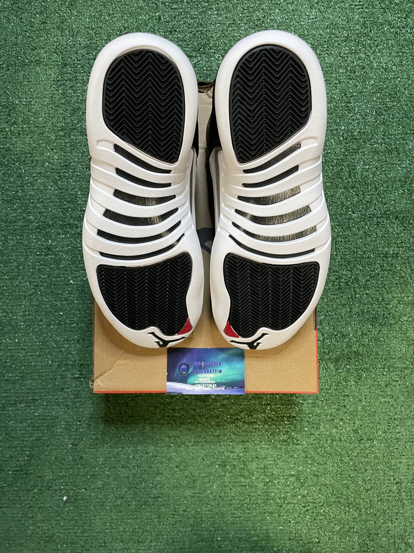 Air Jordan 12 Retro playoffs