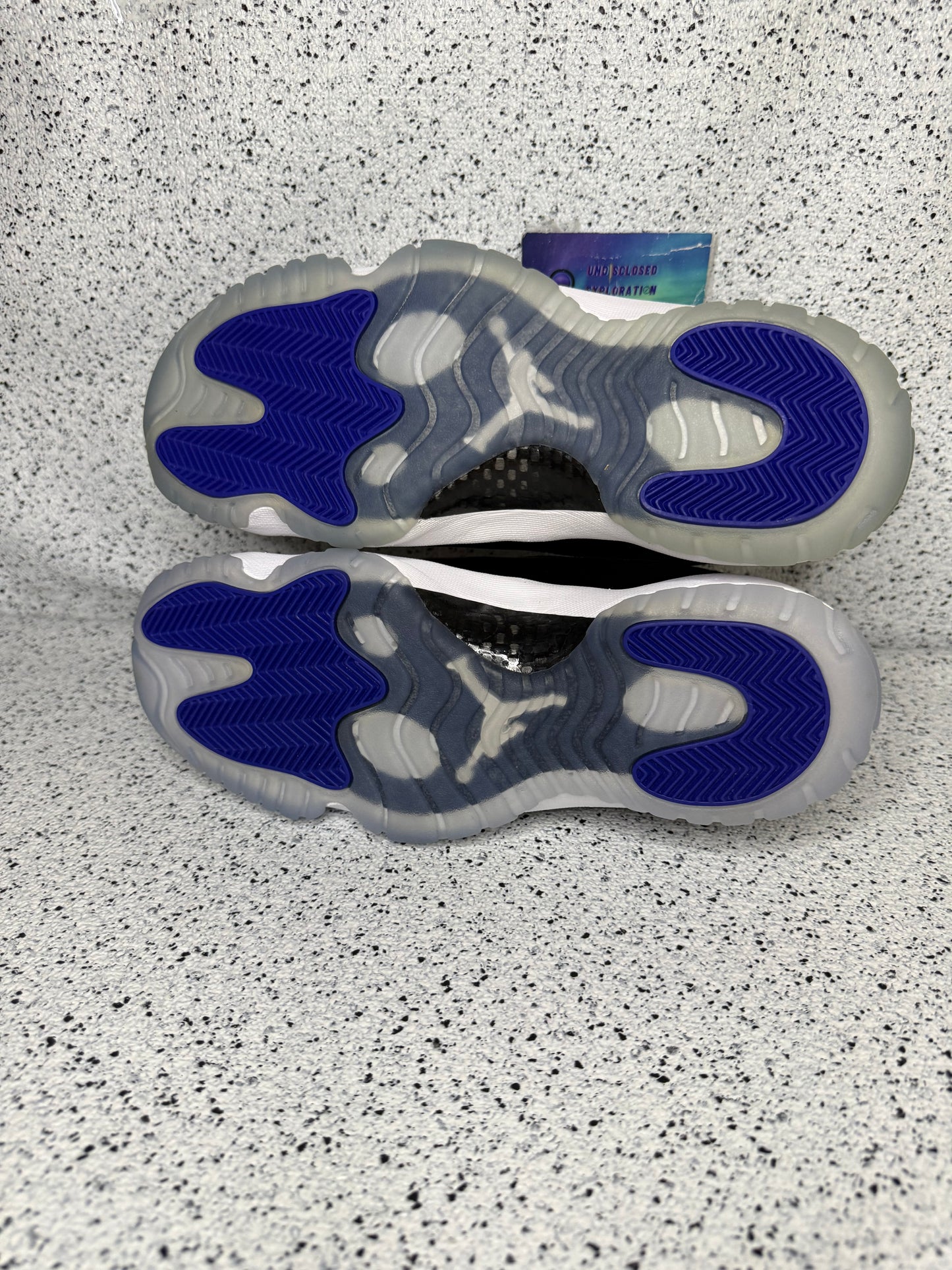 Jordan 11 Space Jam 2016
