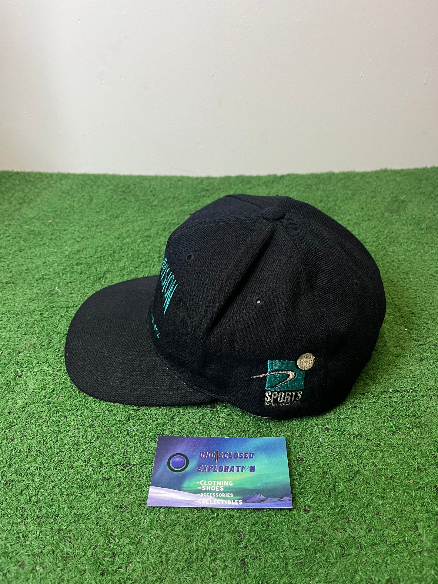 Vintage Seattle mariners western division  1995 hat