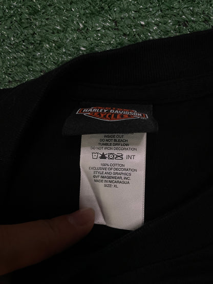 Vintage Harley Davidson eagle Texas tee