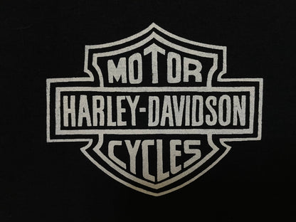 Vintage 1990s Harley Davidson Tijuana tiger flame tee