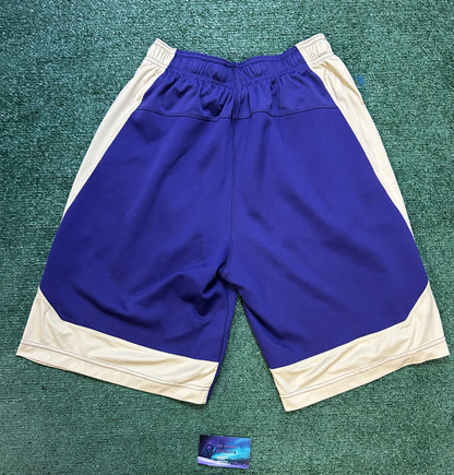 Nike UW University of Washington shorts
