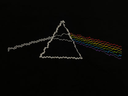 Vintage 2000s Roger Waters Pink Floyd the dark side of the moon tour tee