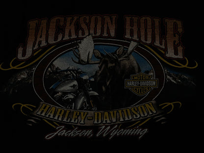 Vintage Harley Davidson Jackson hole Wyoming tee