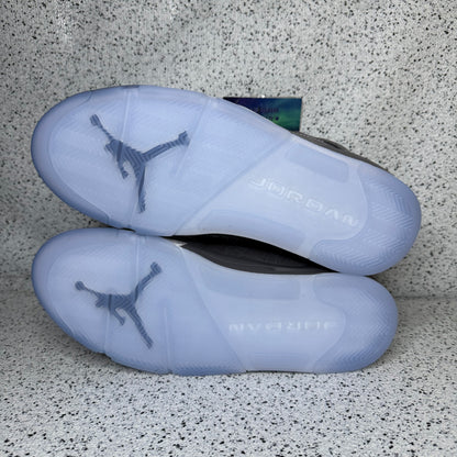 Jordan 5 Wolf Grey