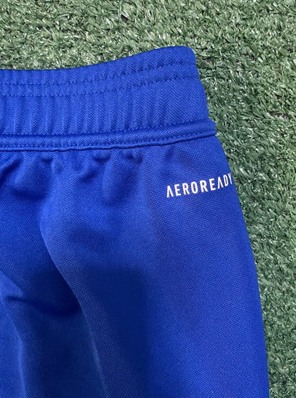 Adidas Tiro 24 training pants blue