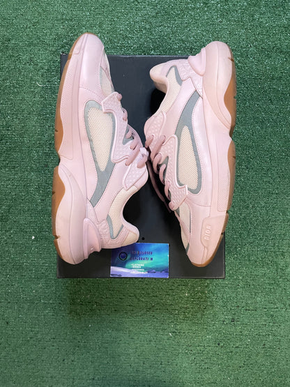 Dior B24 pink size 8.5men/10women(EU 41.5)