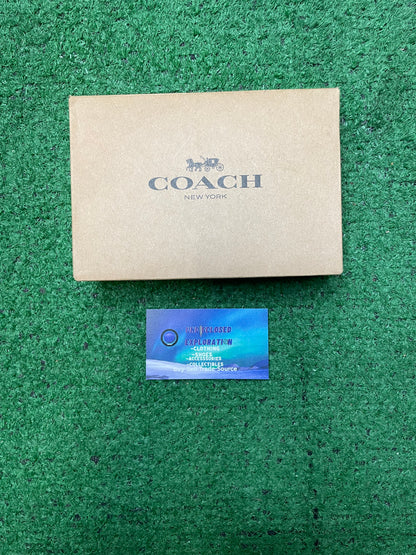 Coach Mini Skinny ID silver