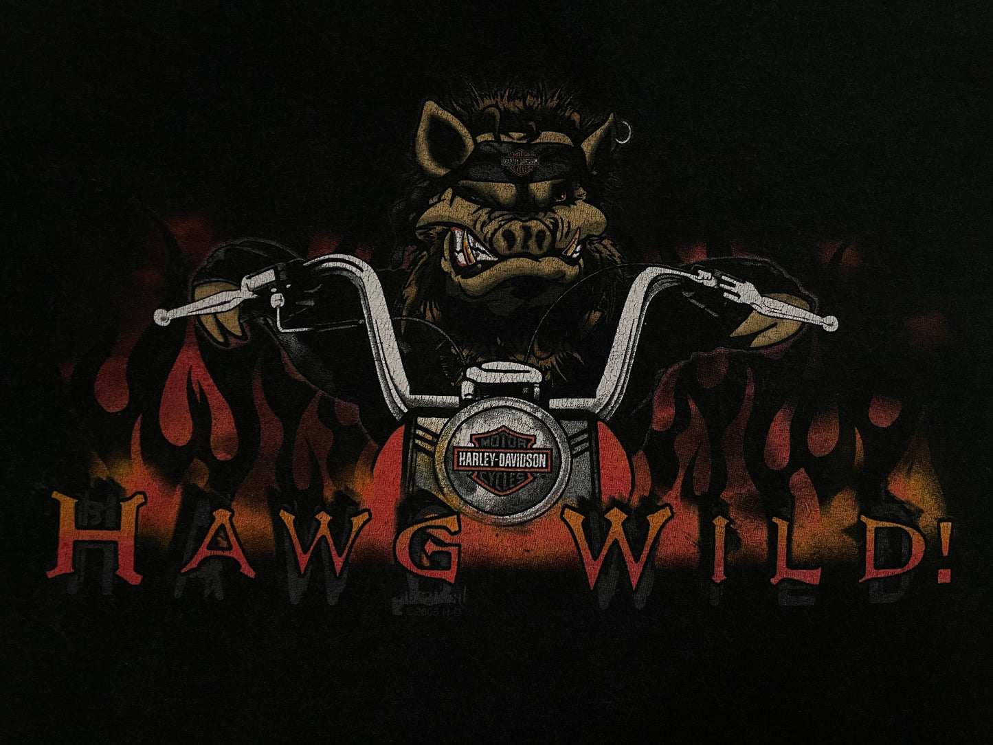 Vintage Harley Davidson hawg wild tee