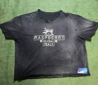 Gv Gallery raspberry hills global peace tee
