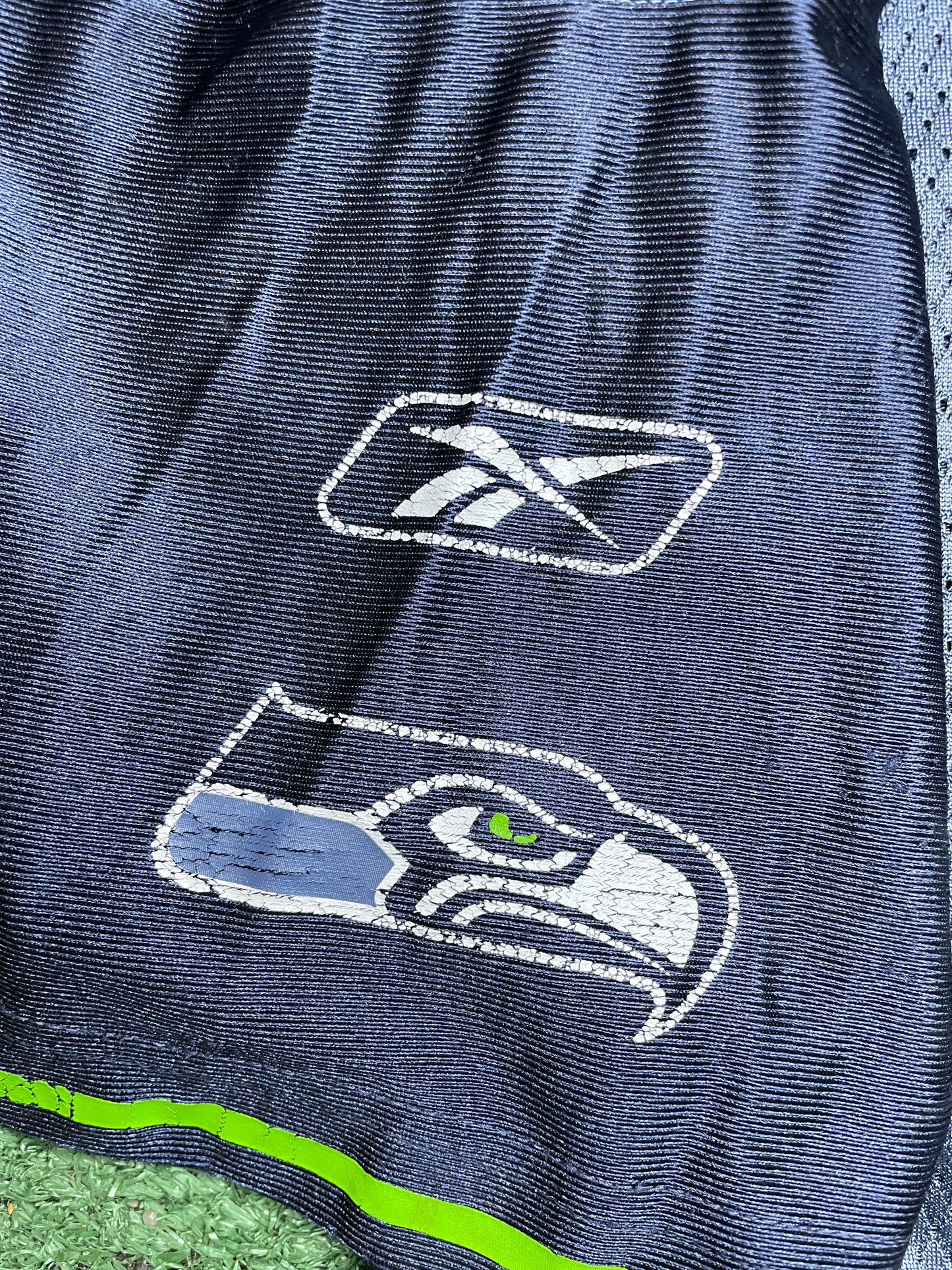 Vintage 2000s Seattle Seahawks Marcus Trufant #23 Jersey
