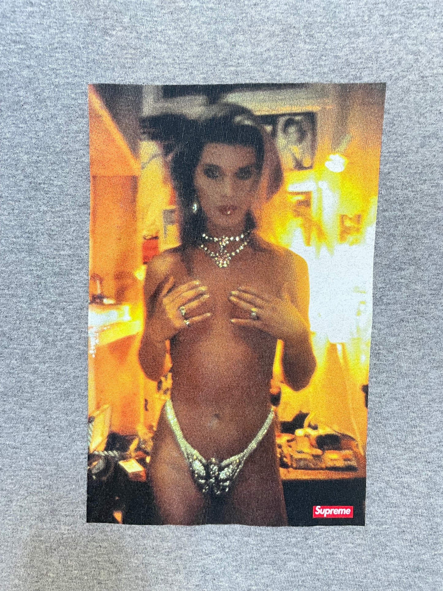 Supreme Nan Goldin Kim heather grey tee