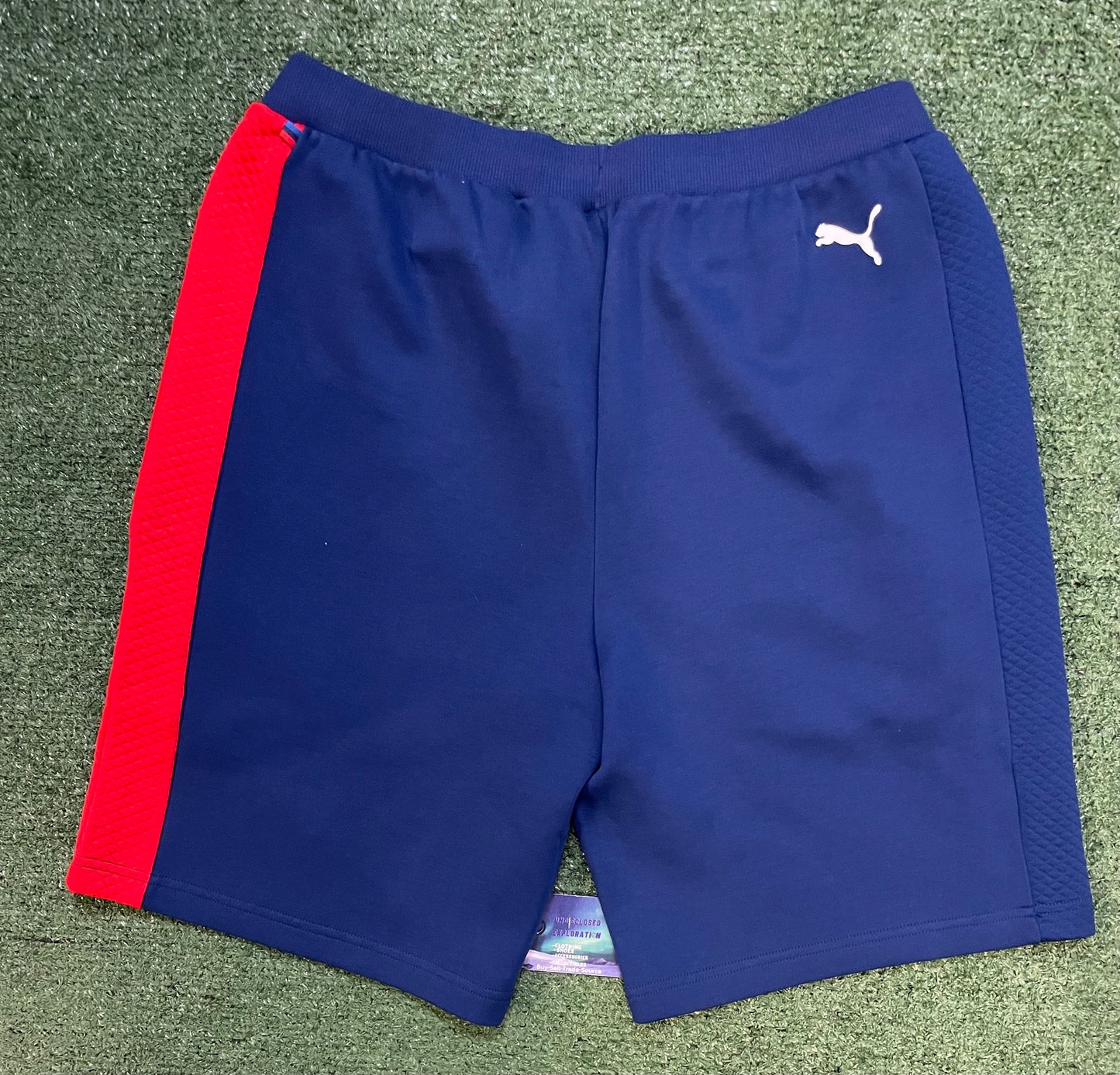 Puma X BMW shorts
