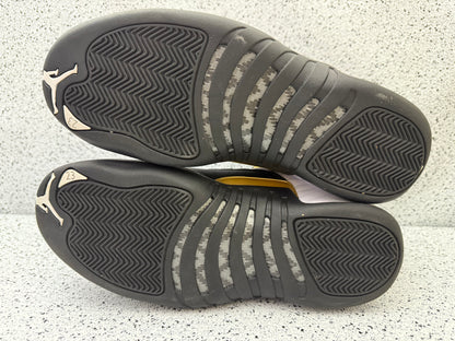 Jordan 12 Royalty Taxi 10 Men/11.5 Women “Preowned”