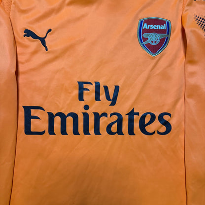 Puma Arsenal Goalkeeper Jersey