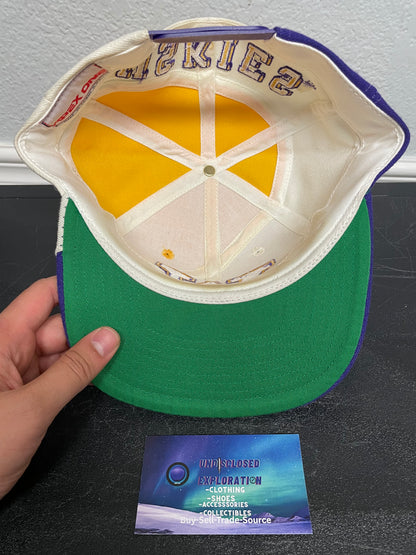 Vintage 1990s University of Washington Huskies Swirl apex one hat