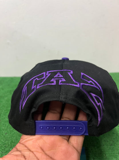 Vintage 1990s TAZ looney tunes hat