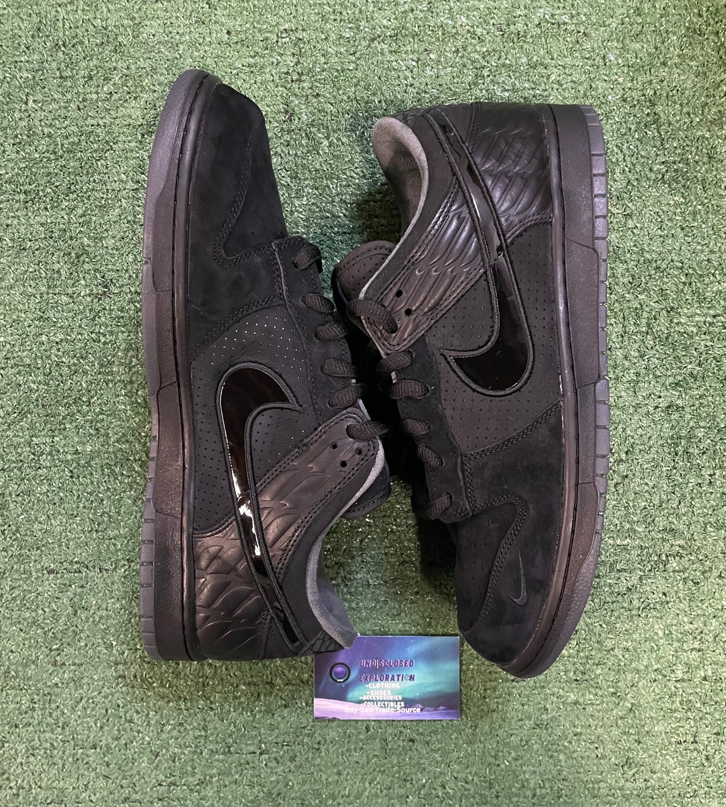 Nike Dunk low ducks of a feather black university of Oregon PE