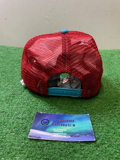 Vancouver Grizzlies blue red black hat