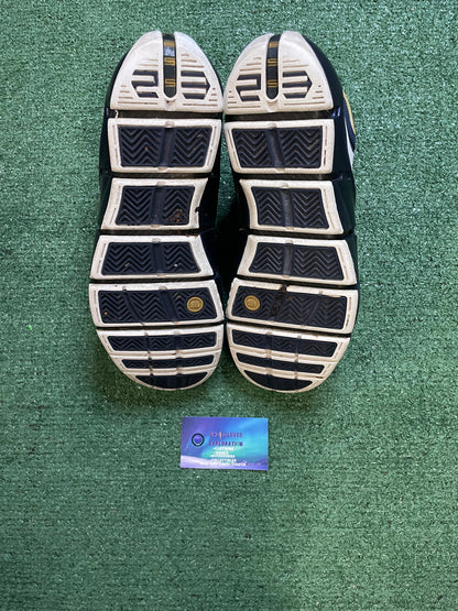Nike LeBron 4 IV westcoast size 10.5men/12women