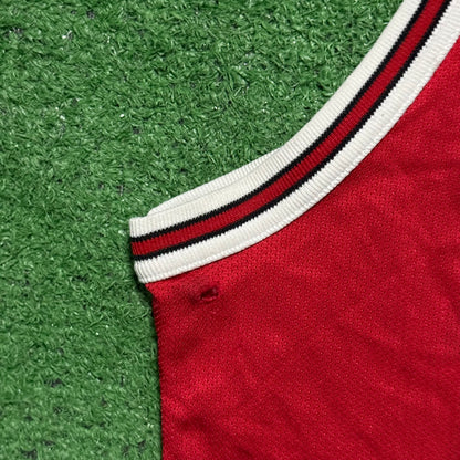 Vintage Dennis Rodman Chicago Bulls Champion Jersey