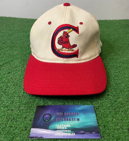 Vintage 1990s Arizona Cardinals fitted hat