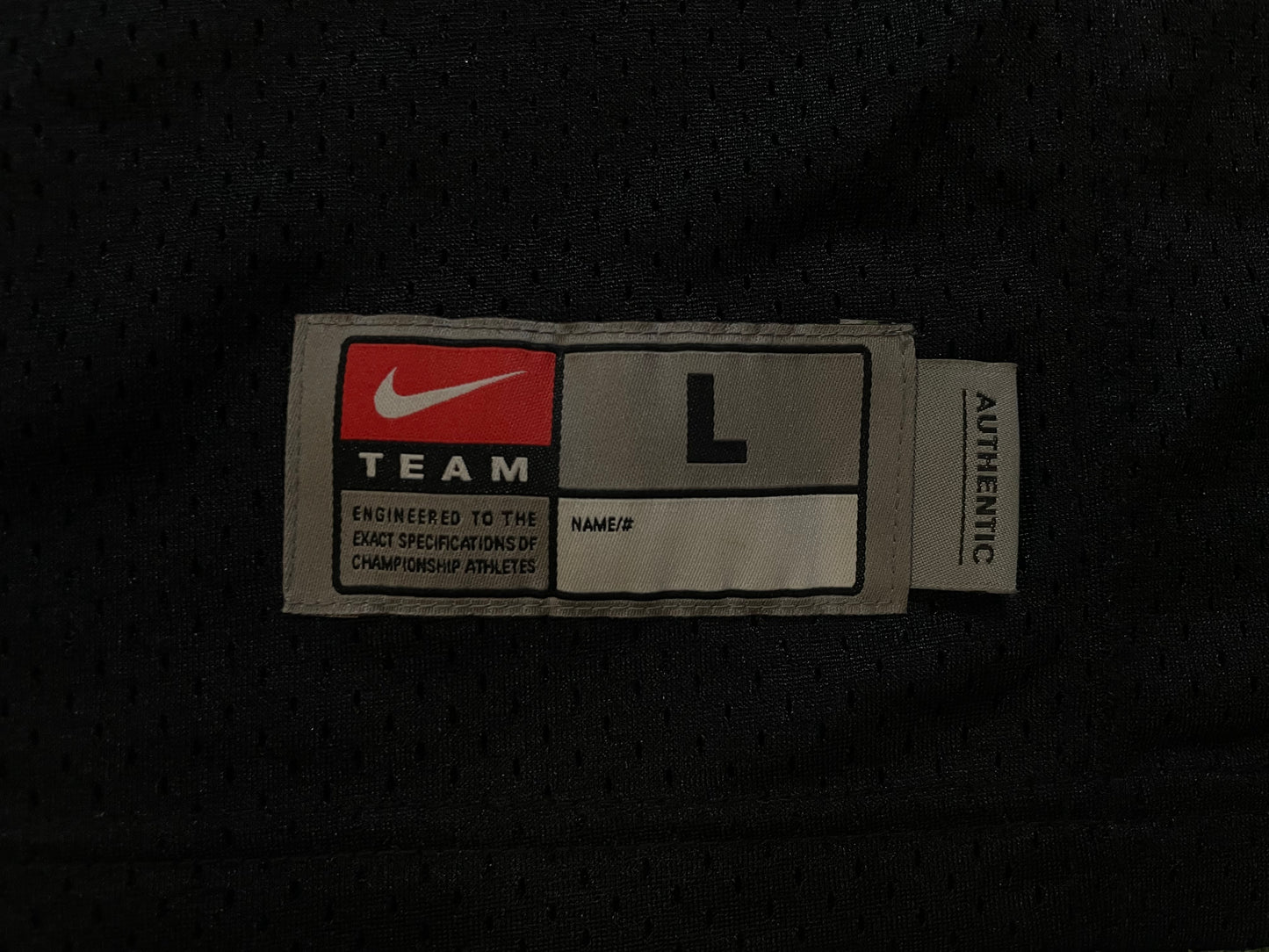 Nike University of Washington UW Huskies #10 jersey