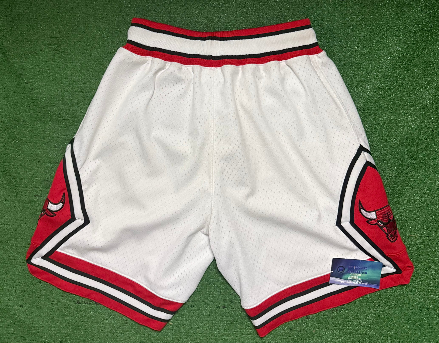 Chicago Bulls Mitchell & Ness Shorts