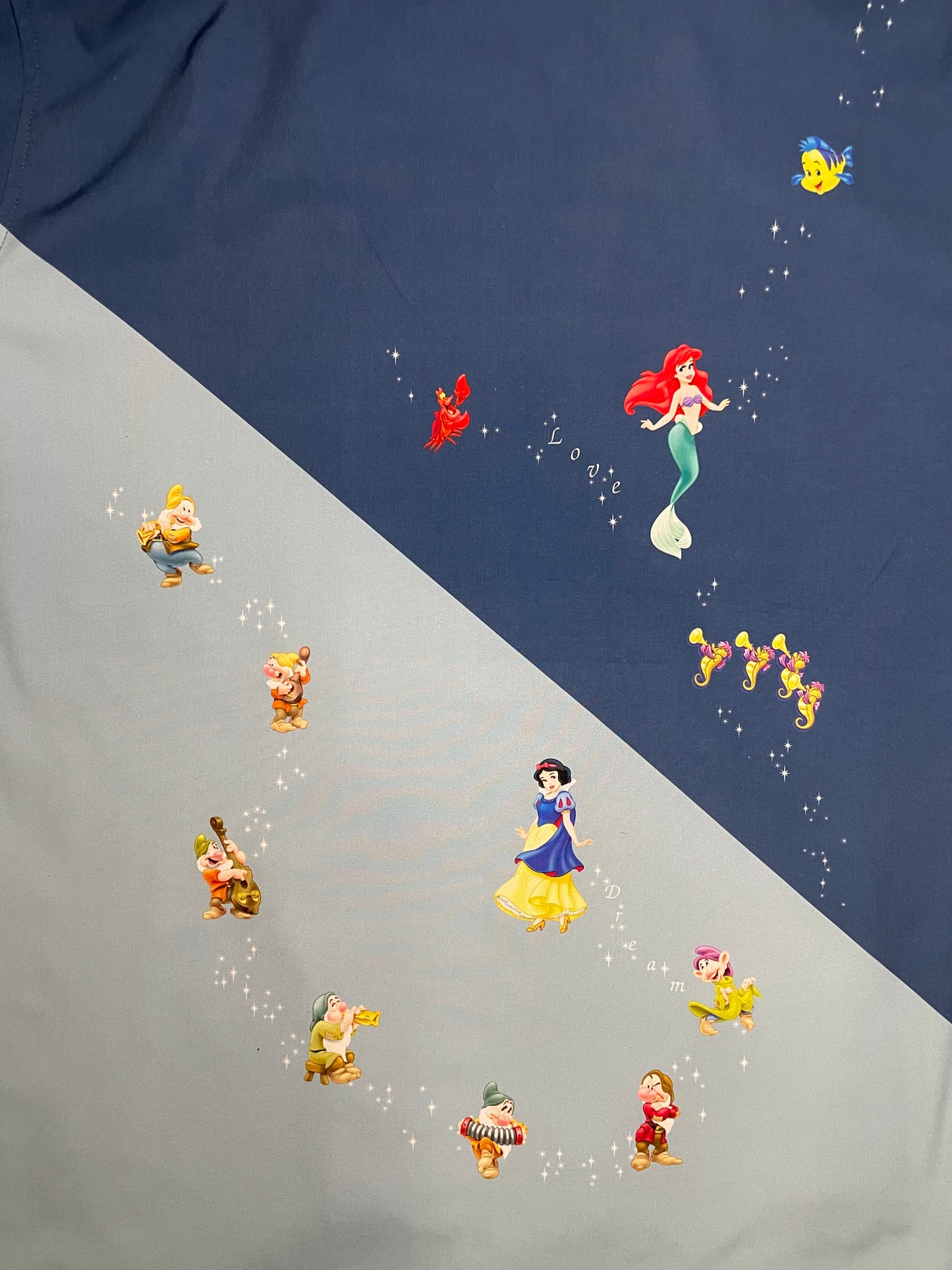 Vintage Disney storyline and characters jacket