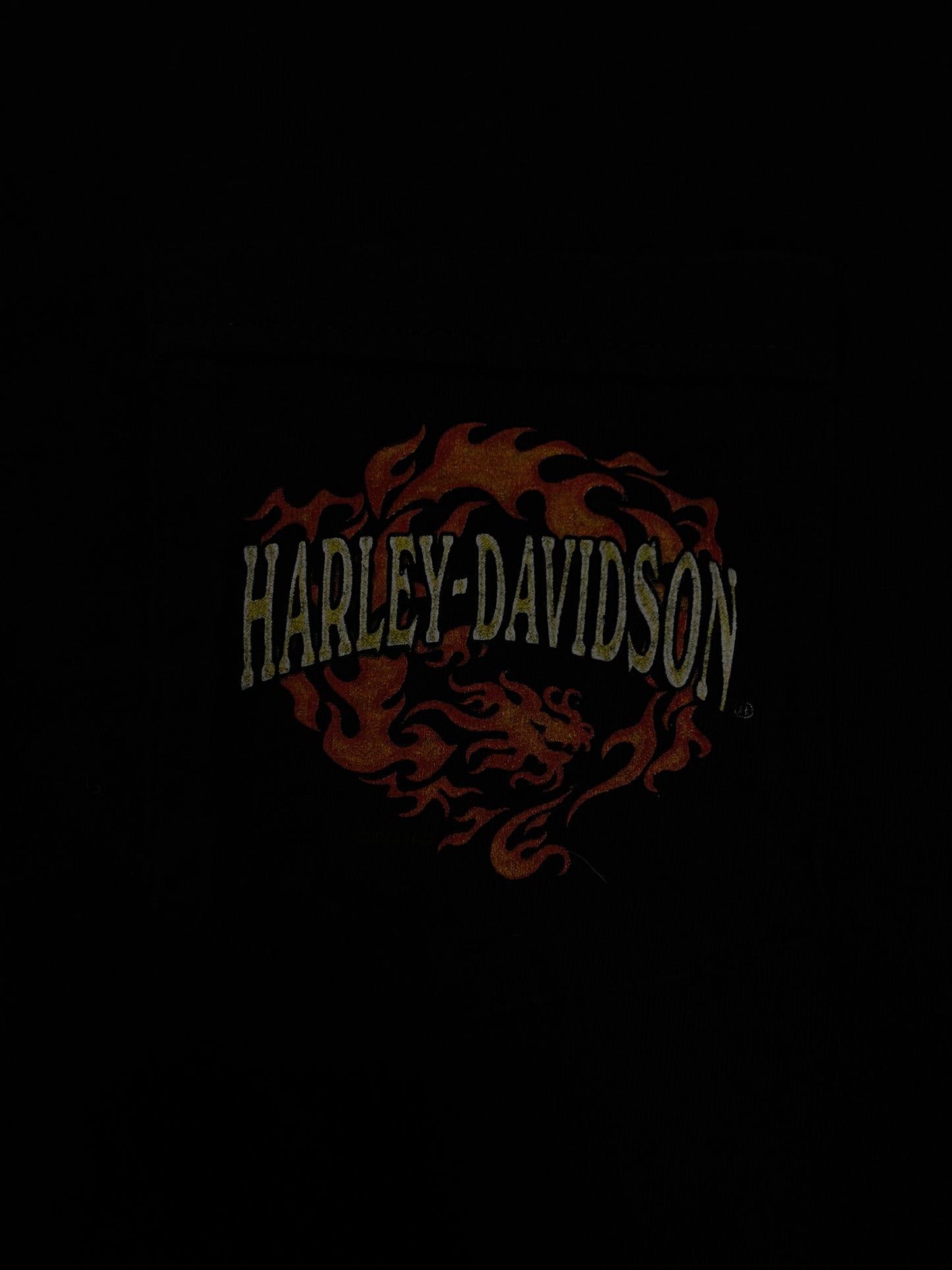 Vintage Harley Davidson Jackson hole Wyoming tee