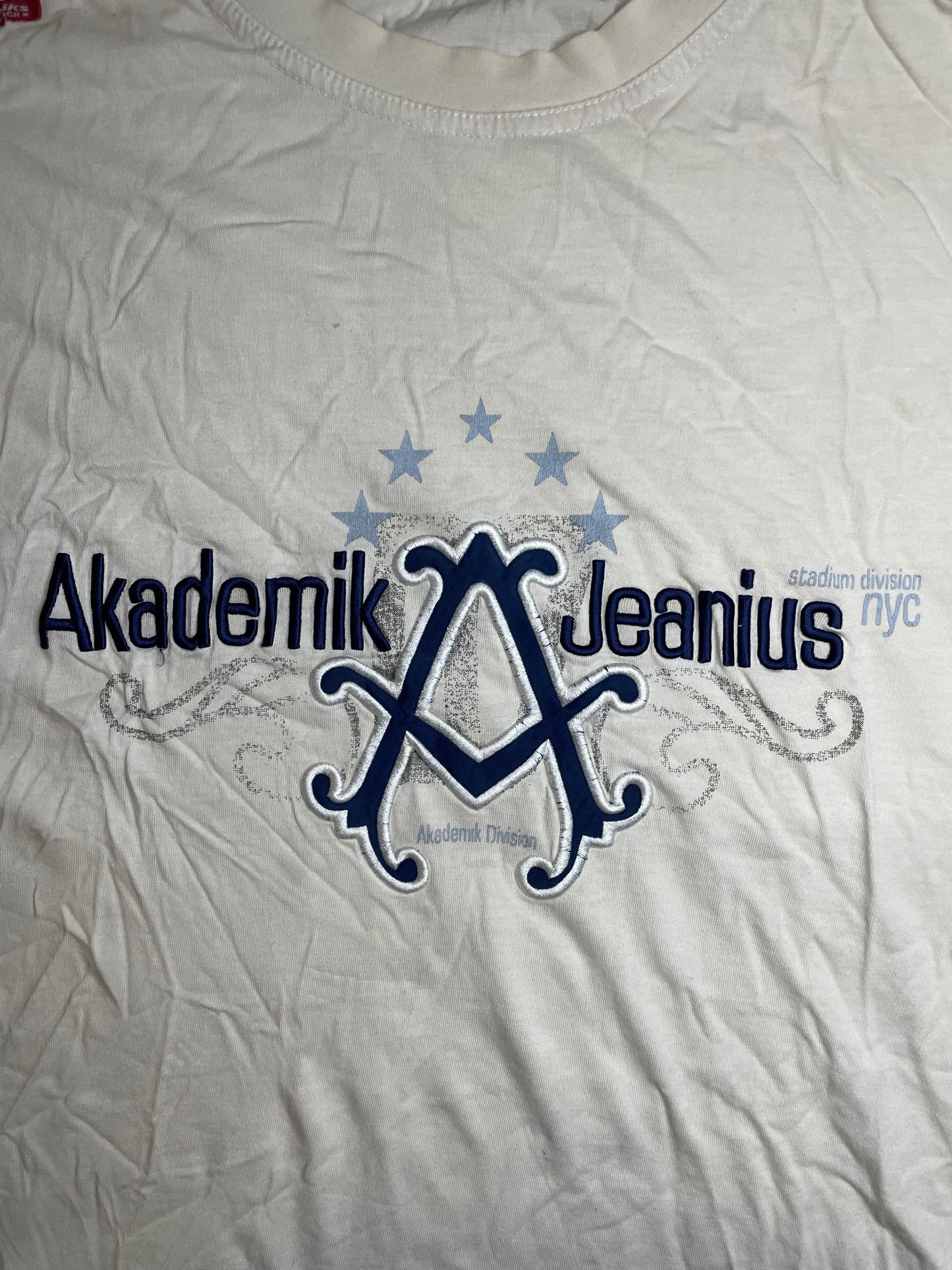 Vintage 1990s Akademik Jeanius longsleeve