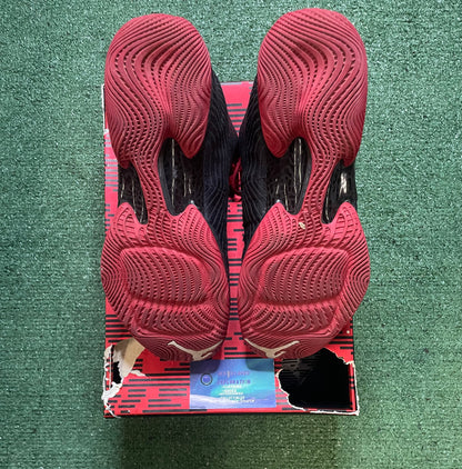 Air Jordan 29 gym red size 11men/12.5women