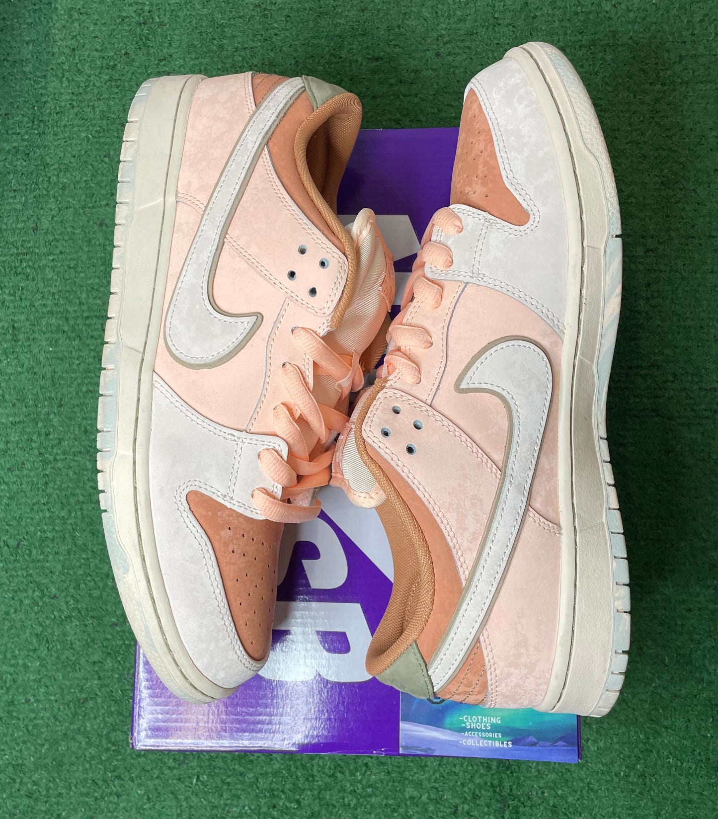 Nike Sb dunk low tracedro gardens size 12men/13.5women