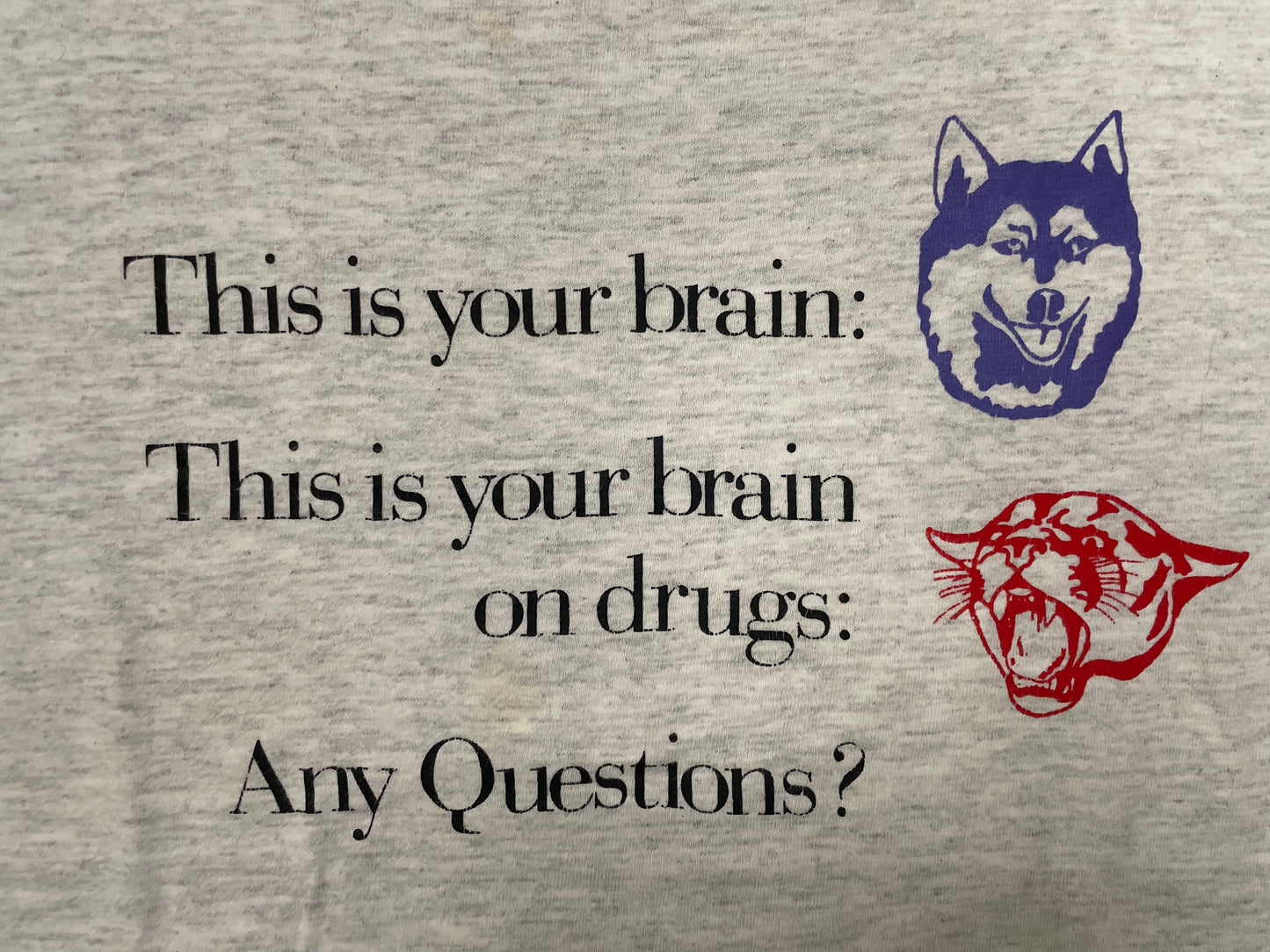 Vintage 1990s UW University of Washington Huskies Vs WSU Washington state university tee